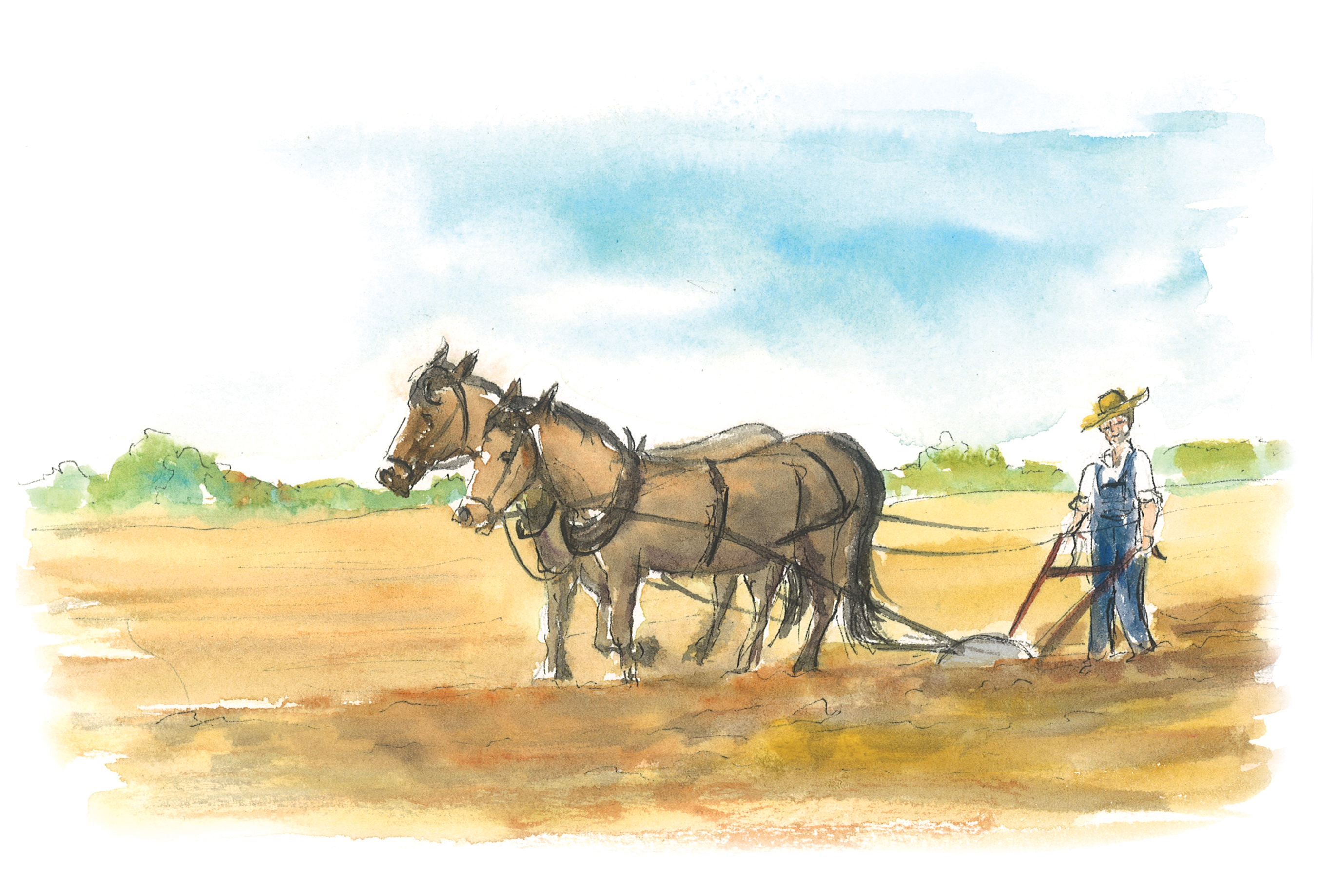 Horse Pulling Plow